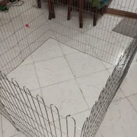 پارک حیوانات / خرگوش/ گربه / سگ