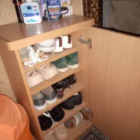 ویترین  کلاسیک  و یک جاکفشی جدا و نمای چوب روی سقف|بوفه، ویترین، کنسول|کرج, مطهری|دیوار