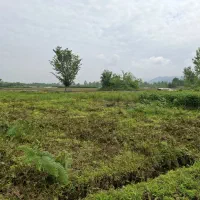 فروش زمین مسکونی