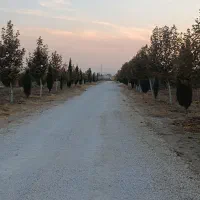 فروش باغ شهری جونجان|فروش زمین و ملک کلنگی|مرودشت, ده بید|دیوار