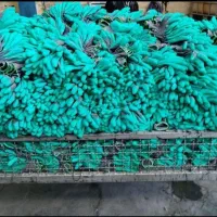 تولید دستکش ضد برش|ابزارآلات|مشهد, نوید|دیوار