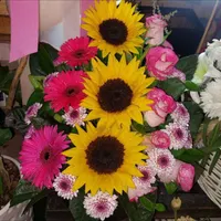 باکس گل دسته گل سبد گل با ارسال به تهران و کرج