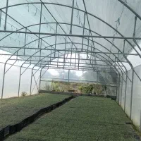 ساخت گلخانه|خدمات پیشه و مهارت|ارومیه, |دیوار