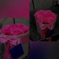 انواع گل روبانی و پروانه‌ای|گل مصنوعی|زاهدان, |دیوار