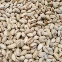 پسته اکبری درجه یک