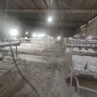 نیرو خانم کارگر ساده