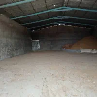 پرواری بندی گوساله 300راسی|فروش دفتر صنعتی، کشاورزی، تجاری|برازجان, |دیوار