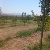 باغ با حصار کامل برق دار ۵۰۰متر|فروش زمین و ملک کلنگی|صوفیان, |دیوار