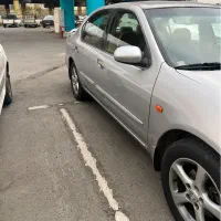 ماکسیما مدل ۸۴