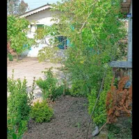 اتاق سویت دارای کولر پارکینگ حمام نزدیک دریا ساحلی|اجارهٔ کوتاهمدت ویلا و باغ|رشت, گیل|دیوار