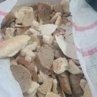 نان خشک حجیم تنی و خورد