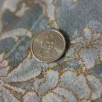 ۱دلار سکه ای