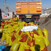 کارگر ساده|استخدام صنعتی، فنی، مهندسی|همدان, |دیوار