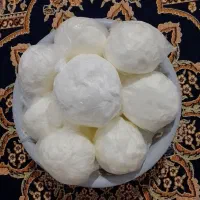 کره حیوانی