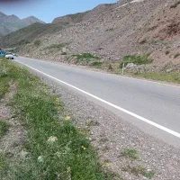 باغ-کنار-جاده-روستای-شهرک-الموت
