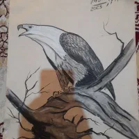 نقاشی|تابلو، نقاشی، عکس|قوچان, |دیوار