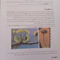 جزوه زیست عظیمی تاملند