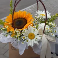 نیروی کاراقادرگلفروشی