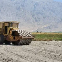 غلطکCA25 پاچه بزی