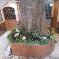 طراحی ، اجرا و نگهداری فضای سبز ،دهکده