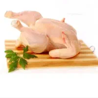 عمده فروشی مرغ کیان