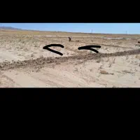 زمین روستای قصر(کشمیری ۱۹)|فروش زمین و ملک کلنگی|مشهد, شهید احمدی روشن|دیوار