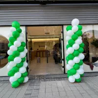 بادکنک ارایی و گل ارایی شهرری،کهریزک،قرچک، پاکدشت|خدمات پذیرایی، مراسم|قرچک, محمد آباد|دیوار