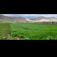 زمین-کشاورزی