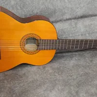 گیتار c40