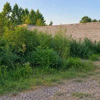 فروش-زمین-سند-تک-برگ-فکوری-جماران-آینده-مطمئن