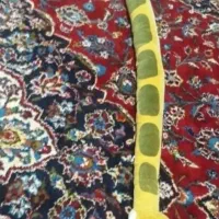 عروسک مار مخملی اصل کشور کره|اسباب‌‌بازی|تهران, جی|دیوار