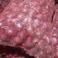 خوراکی|خوردنی و آشامیدنی|حمیل, |دیوار