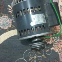 موتور کولر