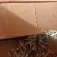 فروش ماهی متوتا