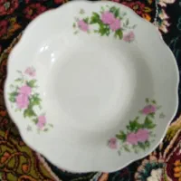 6 عدد سالاد خوری چینی