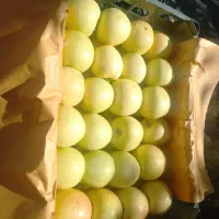 سیب درجه یک قرمز و زرد