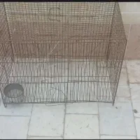 قفس قناری
