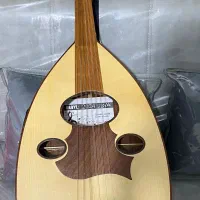 عود برقی نو