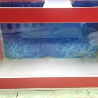 آکواریوم|ماهی|نمین, |دیوار