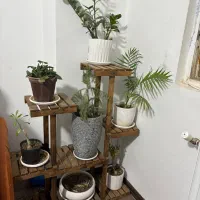 استند گل با گلدان