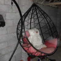 تاب ریلگس|مبلمان خانگی و میز عسلی|خشکبیجار, |دیوار