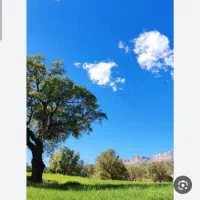 راهنمایی کنید