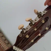 گیتاریاماها|گیتار، بیس، امپلیفایر|گرگان, |دیوار