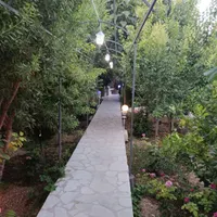 باغ جنگلی دربست|اجارهٔ کوتاه‌مدت ویلا و باغ|شیراز, بید زرد|دیوار