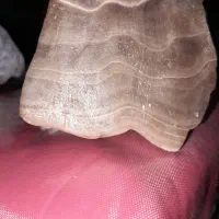 سنگ|جواهرات|اصفهان, شاه پسند|دیوار