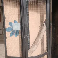 قفس پرنده