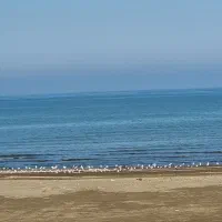 رهن اجاره ویلا  لب دریا چابکسر باتمام امکانات|اجارهٔ خانه و ویلا|چابکسر, |دیوار