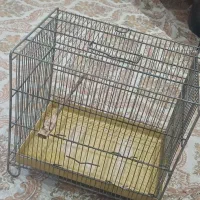 قفس سهره