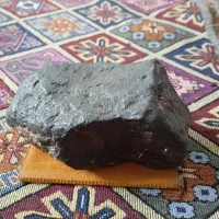 شهاب سنگ،فسیل