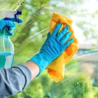 خانم جهت رسیدگی یک واحدمسکونی نیازمندم|استخدام سرایداری و نظافت|باغستان, |دیوار